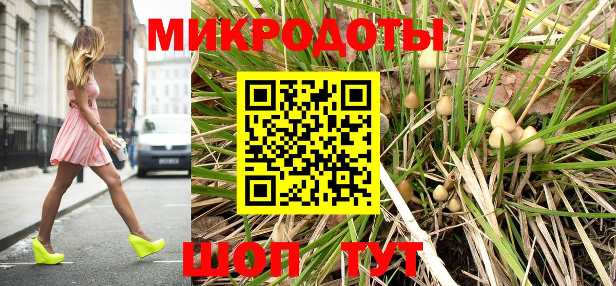 Галлюциногенные грибы прущие грибы  Вход с VPN  Благодарный 